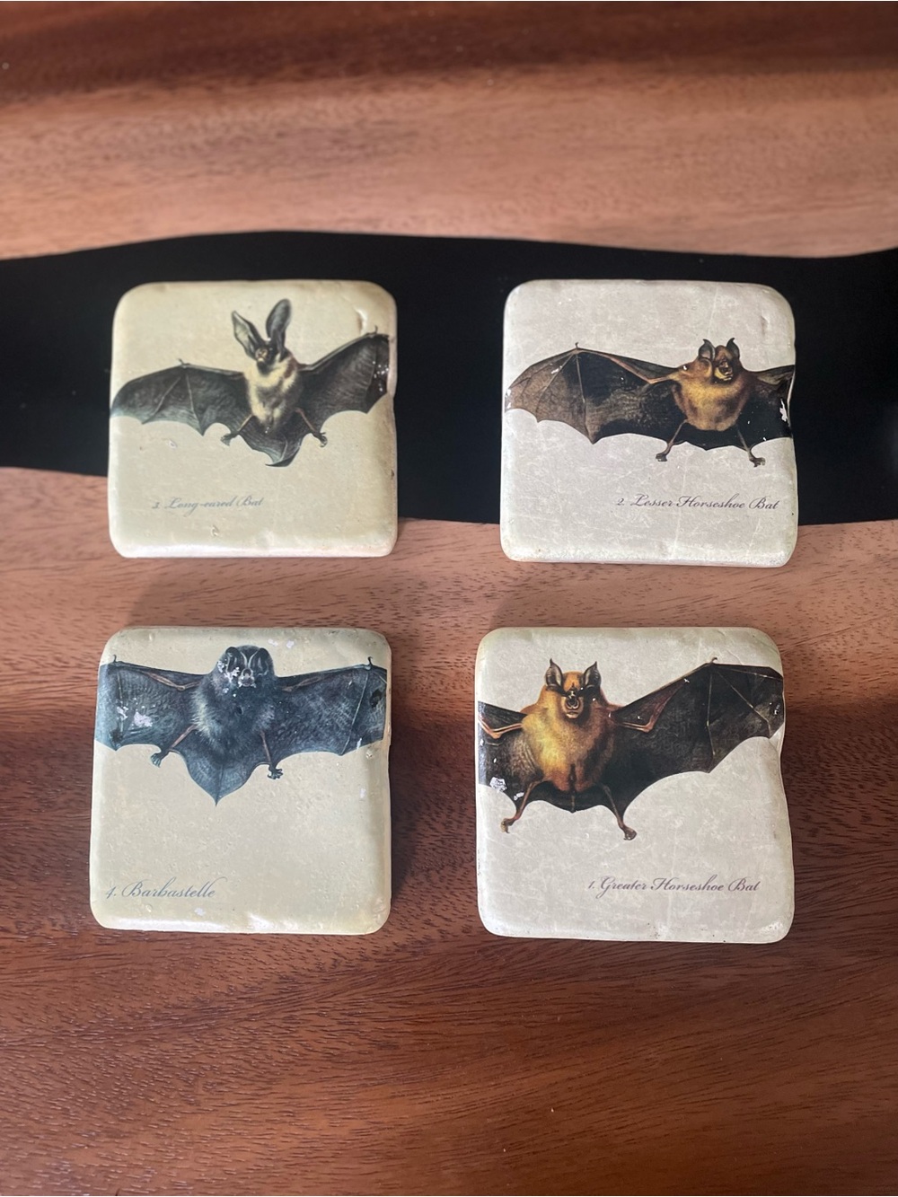 Set of 4 Cream Bat Illustration Coasters – Decorative Stone Drink Coasters